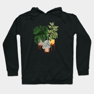 House Plants 15 Hoodie